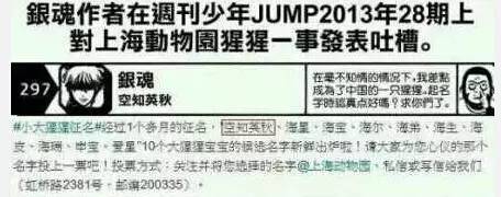 猴年说猴中猴的特点,猴年说猴