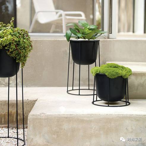 用植物点缀空间，请先抛弃老土花器