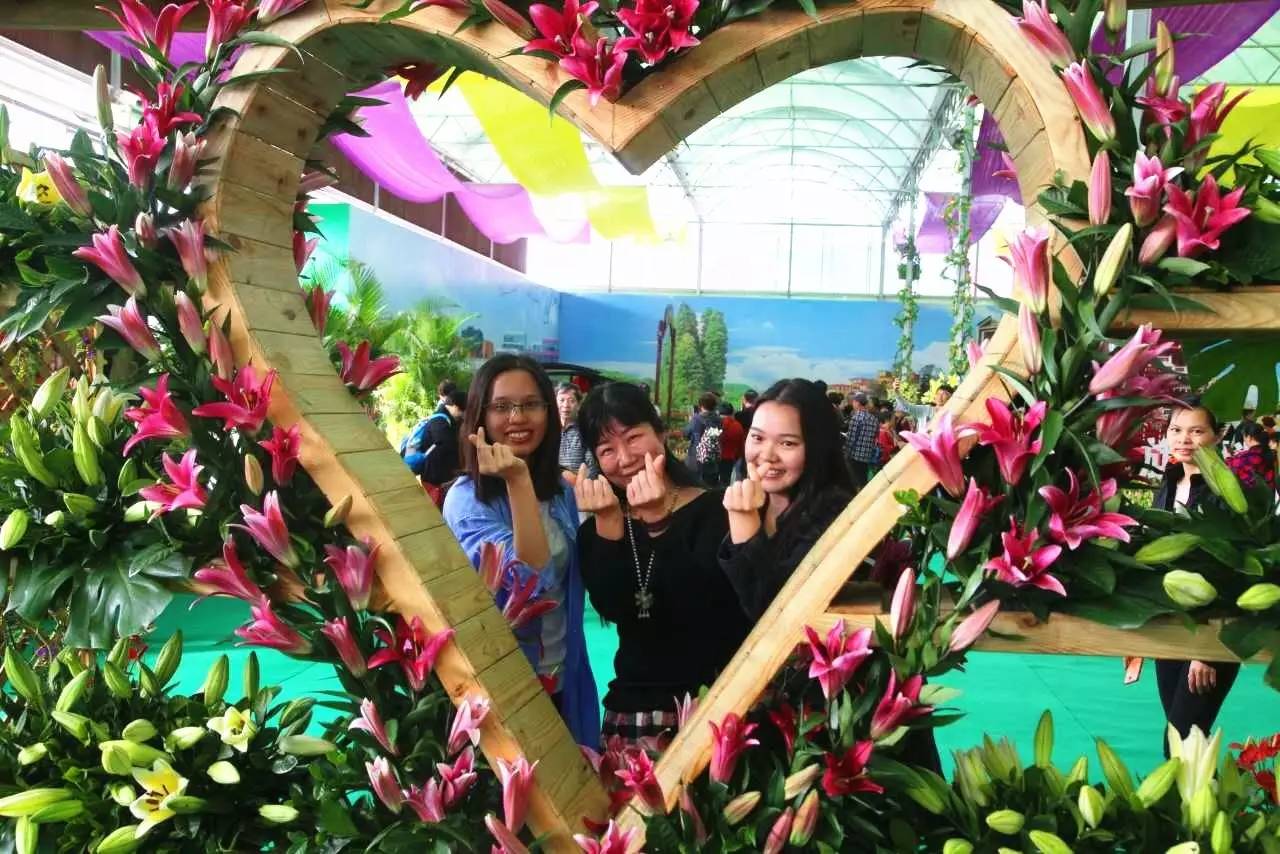 就在今日,百万鲜花盛放!南海这个“花花世界”等你来赏!