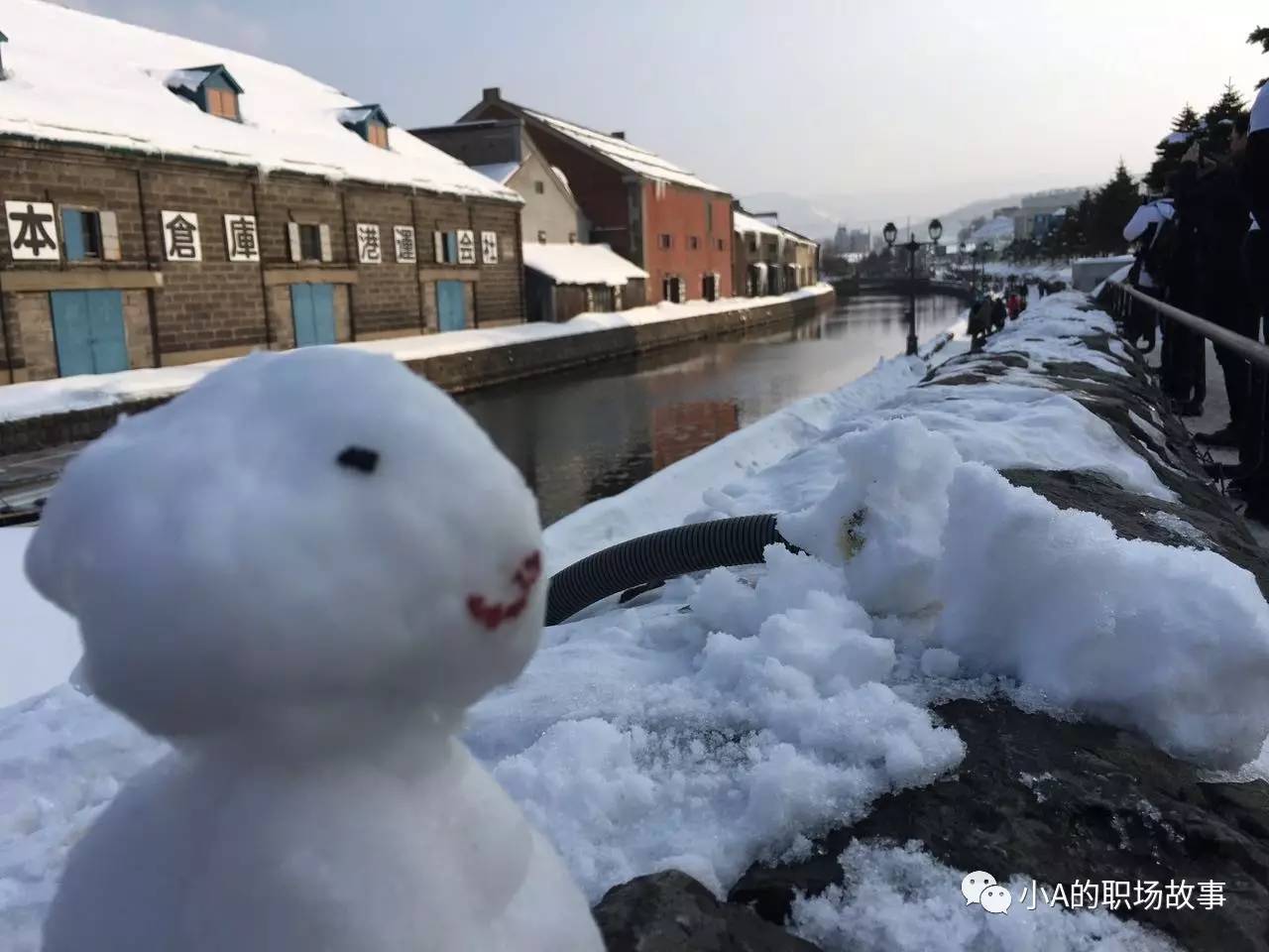 最全318攻略,京都大阪北海道9天