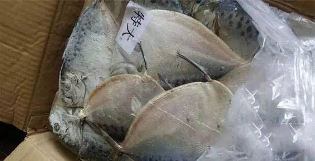 长春假螃蟹,网友爆料买到假螃蟹螃蟹里有一层