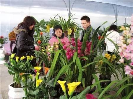 呕心整理！成都人年货采购地点最全攻略都在这！赶紧收藏！