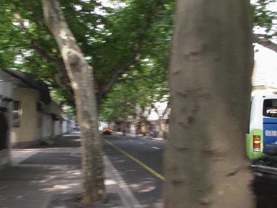 对不起，我们就爱待在成都！