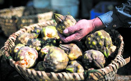 祛湿气的三大克星,这东西除甲醛效果再好也不建议用