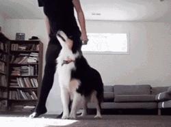 时下最流行的词条,全网最火爆的词条