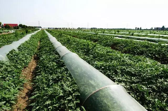 常州最美乡镇在哪里,孟河齐梁生态园游玩攻略