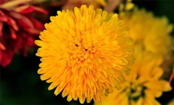 最美乡村魅力城市巡拍,最美乡镇巡礼金坛