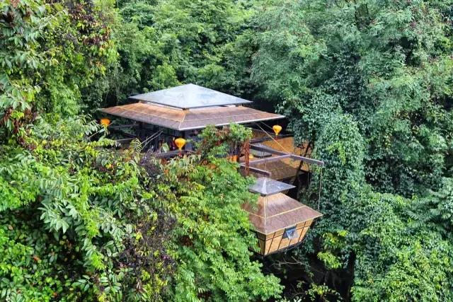 惊！艳！清远这片森林惊现空中吊屋！来过你再也不想回家