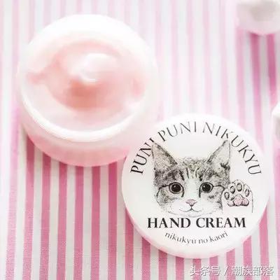 猫控保健,猫控送什么礼物