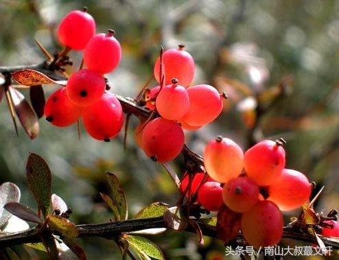 做人要活出自己的模样,做人要个性强