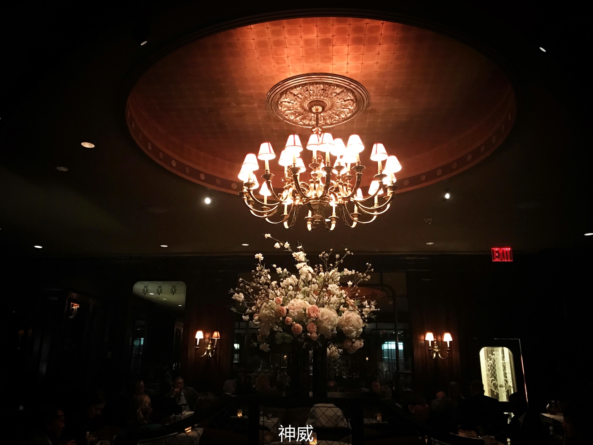 神会玩|XOXO，绯闻纽约的168小时享乐进行时