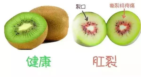 哪种菊花最苦,哪种菊花是苦的