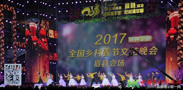 农一电商登“春晚”清华才子爱“三农”