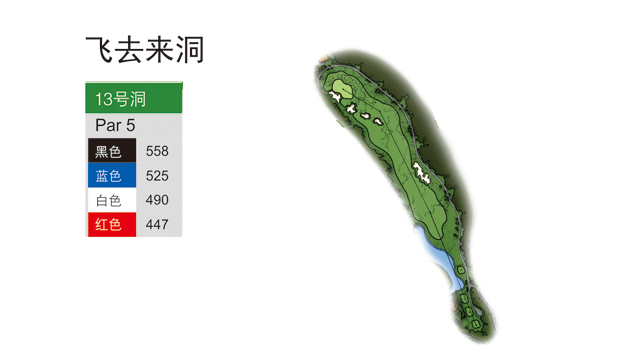 2023佛山青少年锦标赛,广东佛山足球青少年比赛