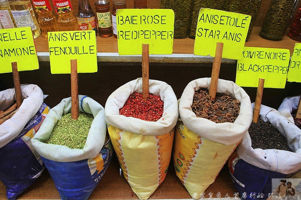 在外国街头演唱中国乐器,在外国街头演奏市集音乐