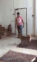 广东地铁老外挑衅被打视频,在地铁上挑衅老外