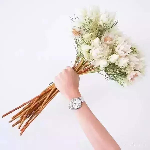 新款小众气质轻奢手表品牌,女生手表推荐200-300小众品牌