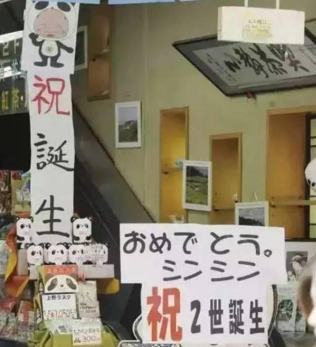 为求得一只熊猫的抚养权，英美荷法等国家连尊严都不要了