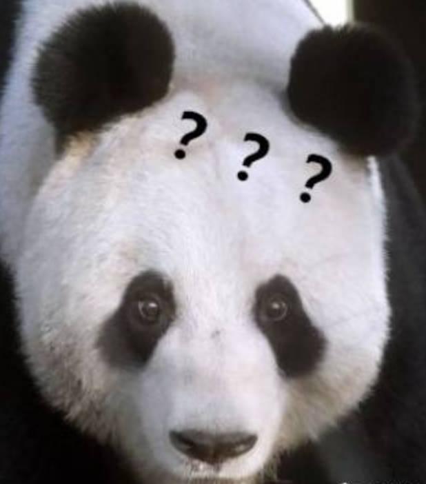 为求得一只熊猫的抚养权，英美荷法等国家连尊严都不要了