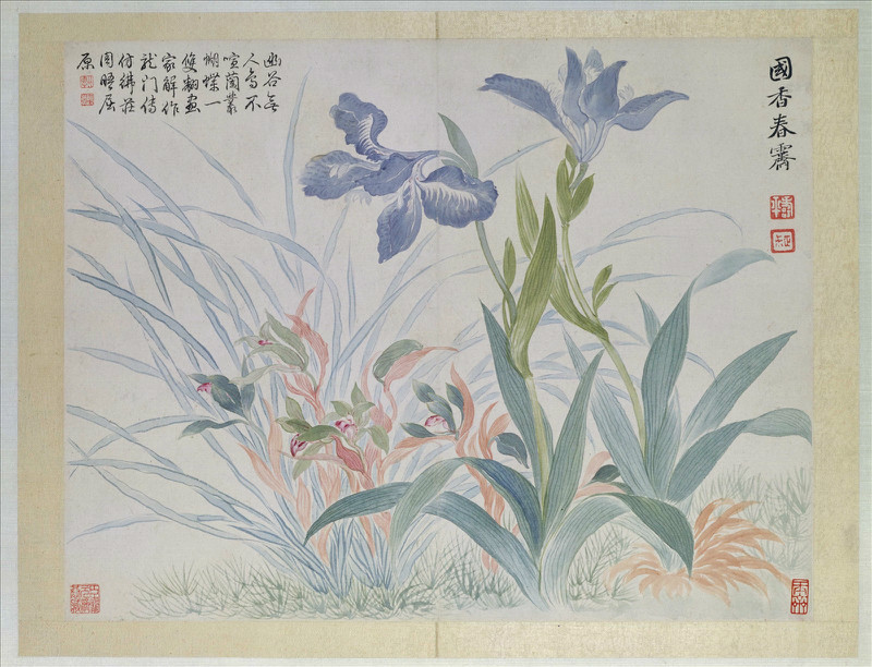 清恽寿平山水花鸟图册,恽寿平没骨花鸟画全集