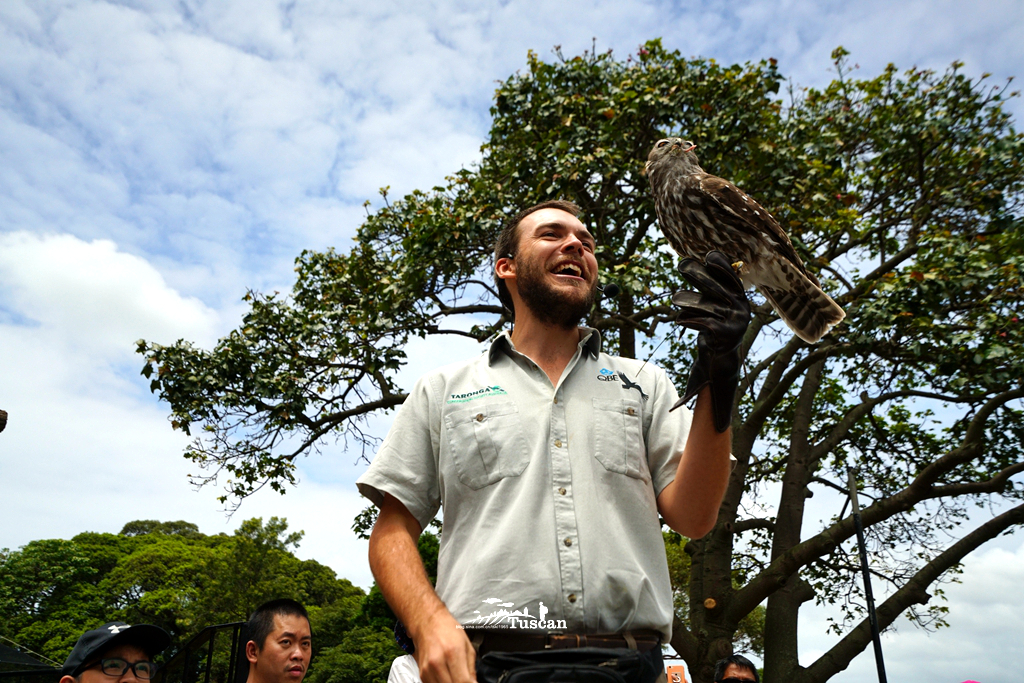 悉尼旅游攻略网红,怎么攻略悉尼