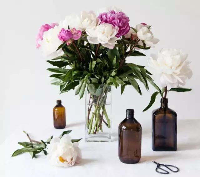 文艺青年最爱的Aesop，有什么值得买？