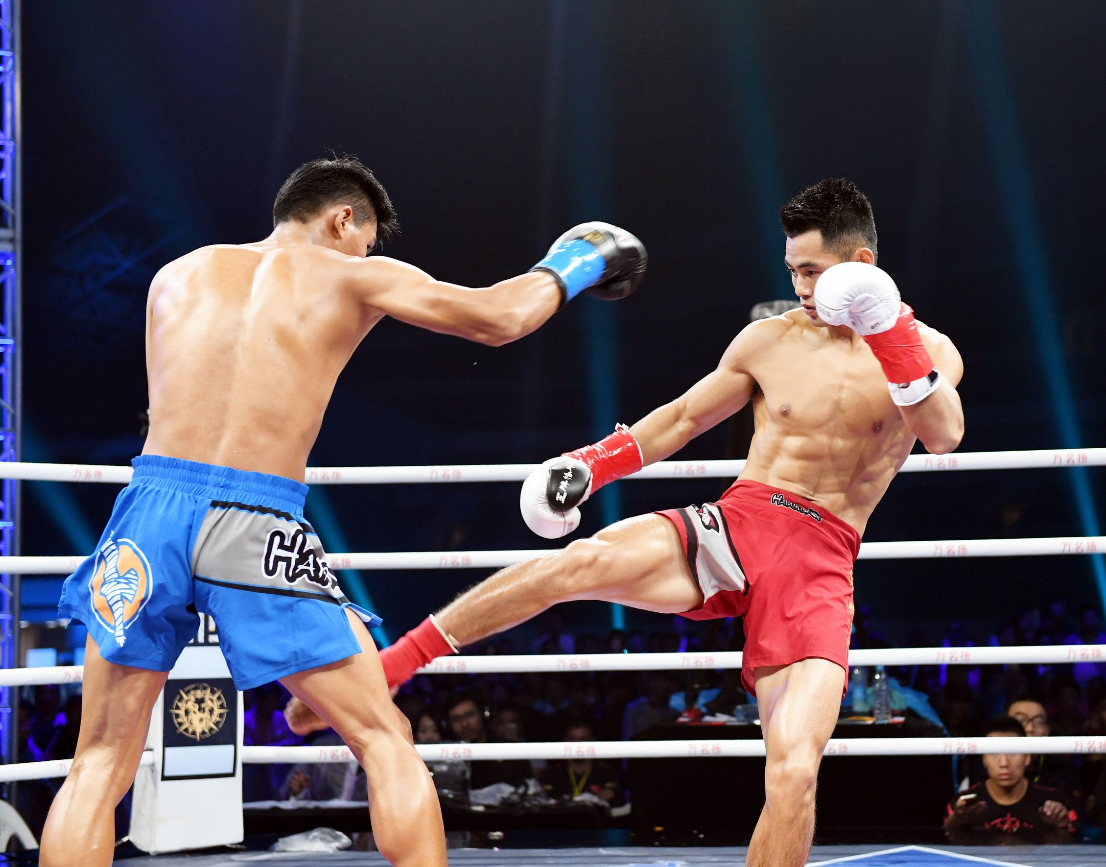 勇士18年常规赛胜场,勇士的荣耀ko集锦