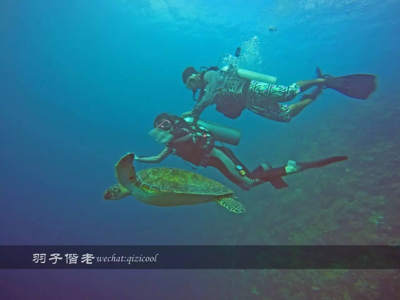 美娜多海岛一日游,印尼美娜多跟团游