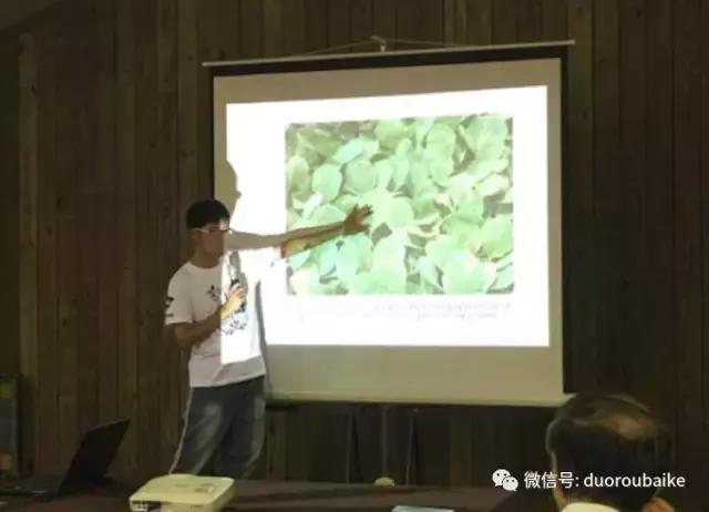 台湾寻肉之旅：小玲带你逛春节的台北花市！