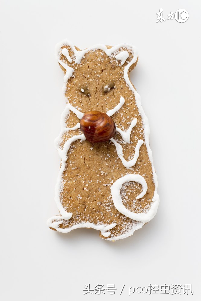 养猫防虫吗,养猫捕鼠行得通吗