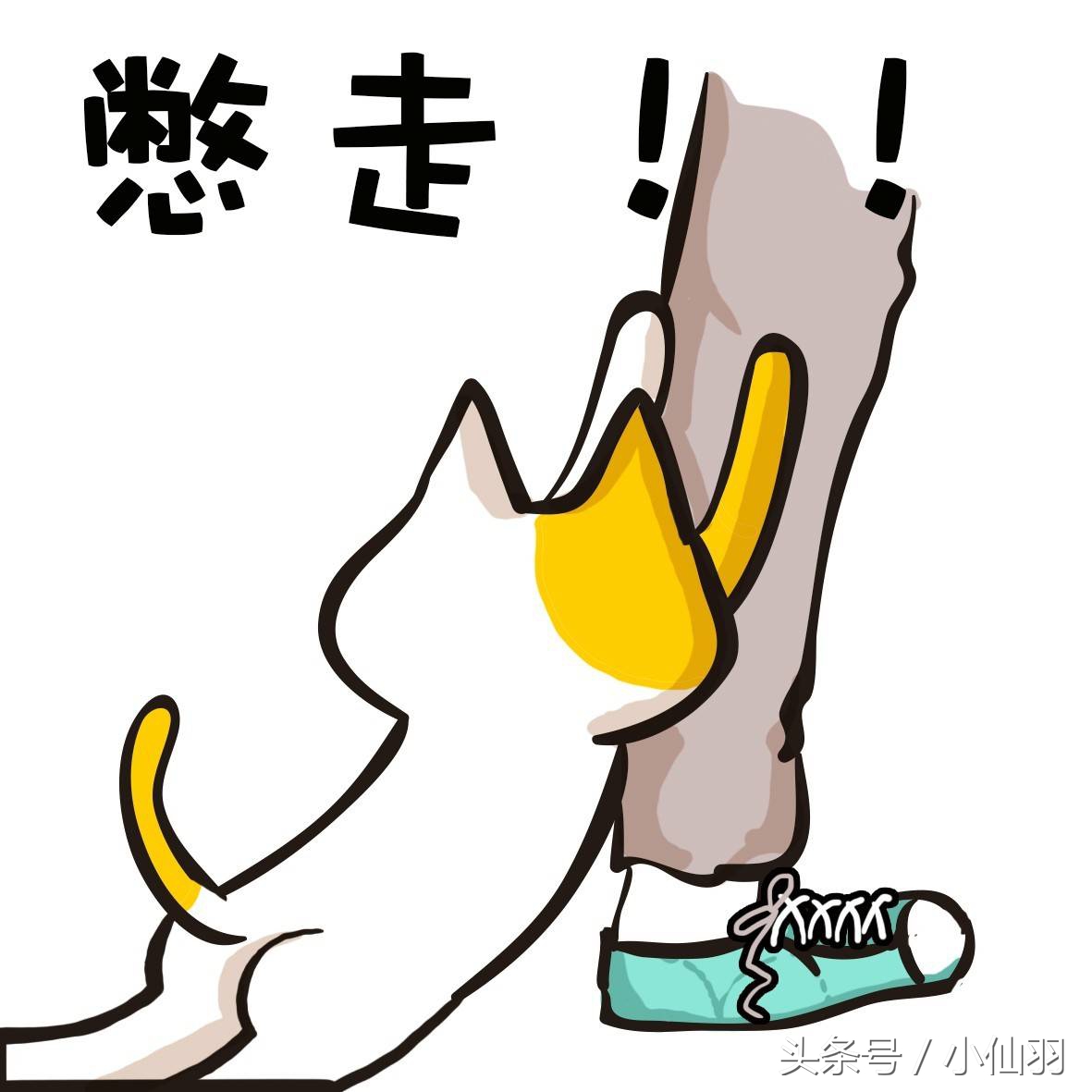 清华大学的女生有多优秀,清华大学女生值得同情吗