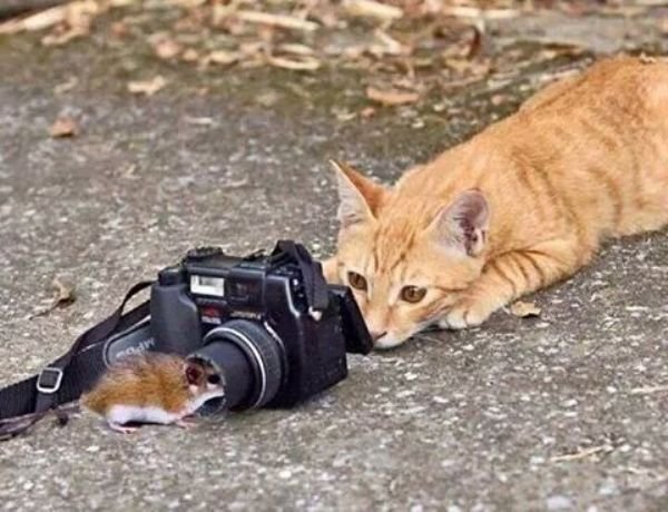 史上最强笑话十则简短,笑话近义词和反义词