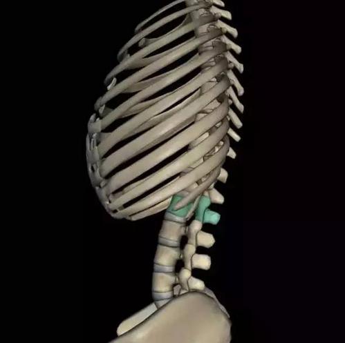 小孩腰痛会是结石吗,小孩腰疼不敢弯腰