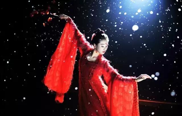 一千个人的心中有一千种正义,一千个人心中有一千种菊