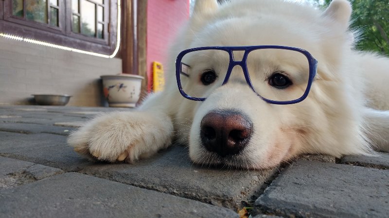 2016年度相机行业观察[Soomal]