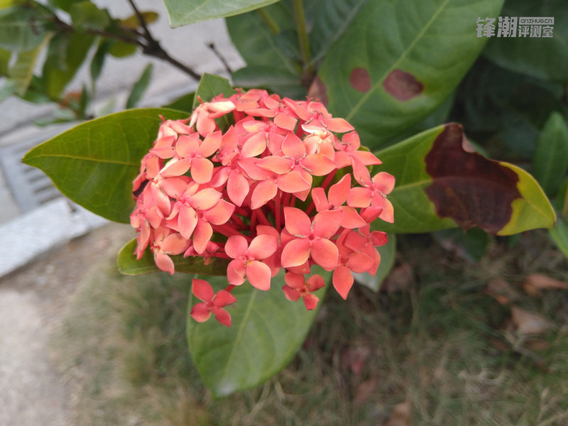 诺基亚6深度测评视频讲解,诺基亚6nokia6怎么样