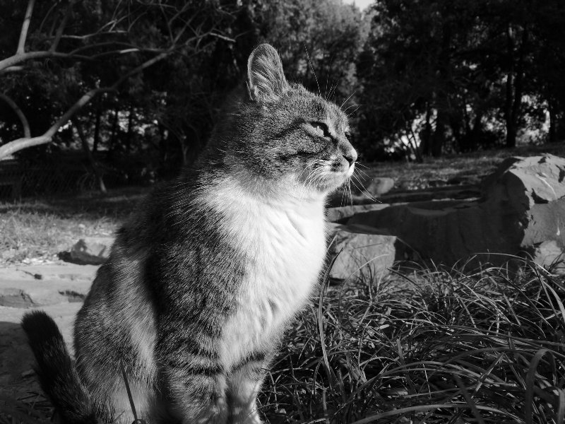 2016年度相机行业观察[Soomal]