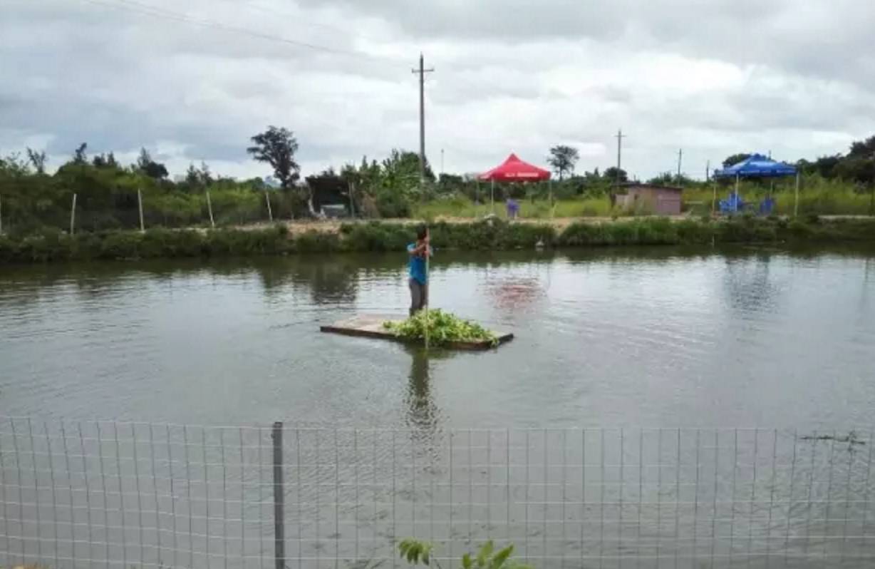 南宁农家乐推荐周边特色农家乐,南宁良庆区哪里有好的农家乐