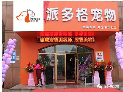 派多格宠物店加盟,开宠物店去哪里培训派多格宠物