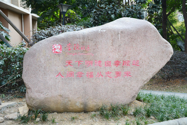 过年了,龙泉街上的这些墙也换上了“新衣”!