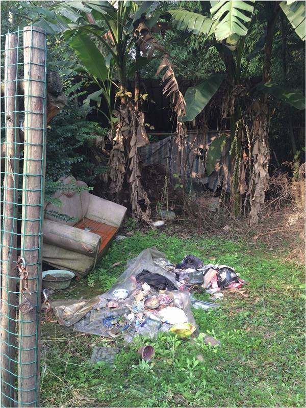 4个月9000元，三个90后把城里的破败院落，徒手改造成家理想的模样