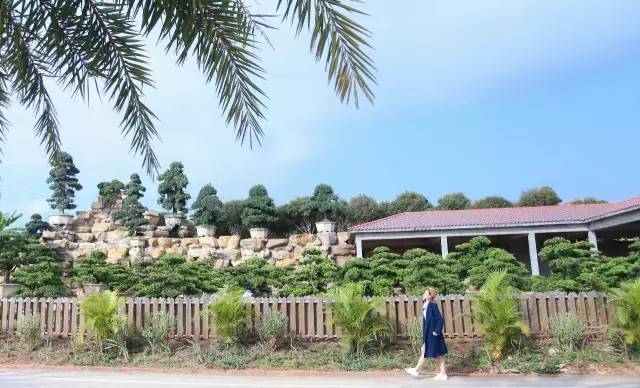 南宁农家乐推荐周边特色农家乐,南宁良庆区哪里有好的农家乐