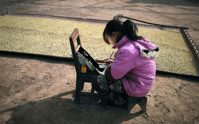 全球摄影网第十二届手机摄影大赛,2018年手机摄影大赛获奖作品讲解