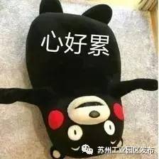 园区综合性医院,大型三级甲等综合性医院