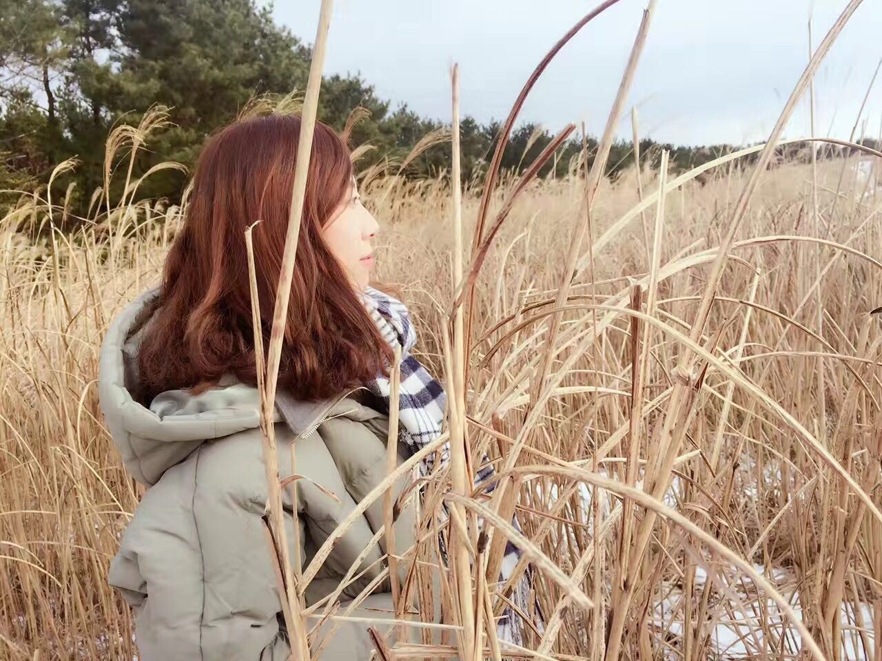 网红景点与网红店，就是济州岛正确的打开方式｜攻略