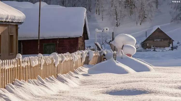 最新喀纳斯禾木视频,新疆喀纳斯禾木冬天视频