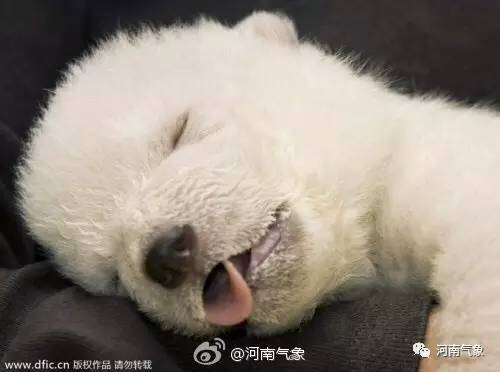 青春分享活动总结报告,青春分享吃喝玩乐