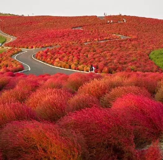 极品风光摄影作品,中国顶级风光摄影网