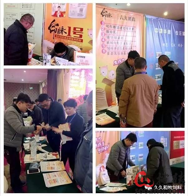 初闻沈念,初闻林夕