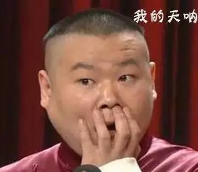 薰衣草小熊,薰衣草小熊是什么